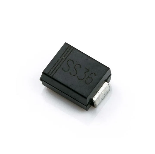 SS36