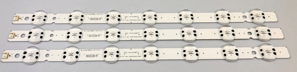 SSC Y19 43UM75 SSC_Y19 Trident 43UM75 REV00 181029